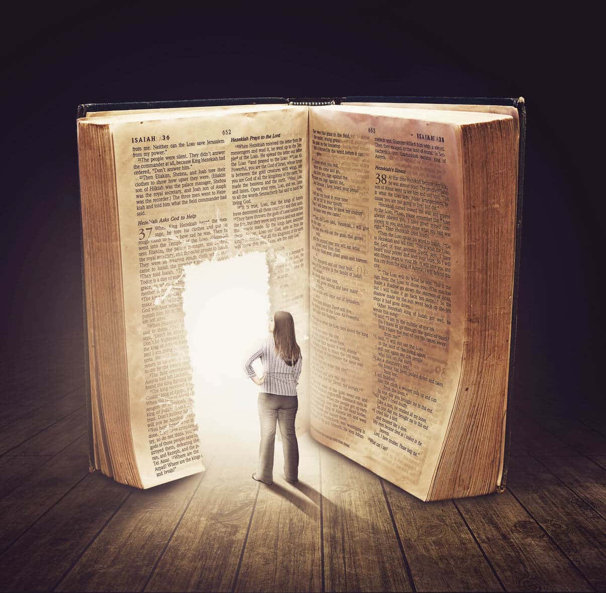 Bible Super Search 600 Bible Super Search 600